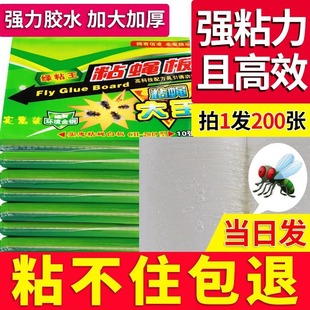 粘蝇胶粘蝇纸家用粘蝇板养殖场苍蝇板诱蝇灭蝇粘蝇纸厂家