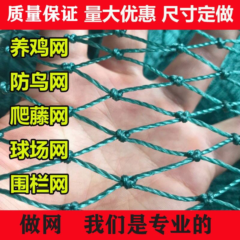 养殖网围栏鸡护栏网家用防鸟网尼龙网格小孔围网防护隔离户外加厚在类目 鲜花速递/花卉仿真/绿植园艺, 园艺用品, 其它园艺用品中 - 来自Buy2taobao.com提供专业的淘宝代购服务