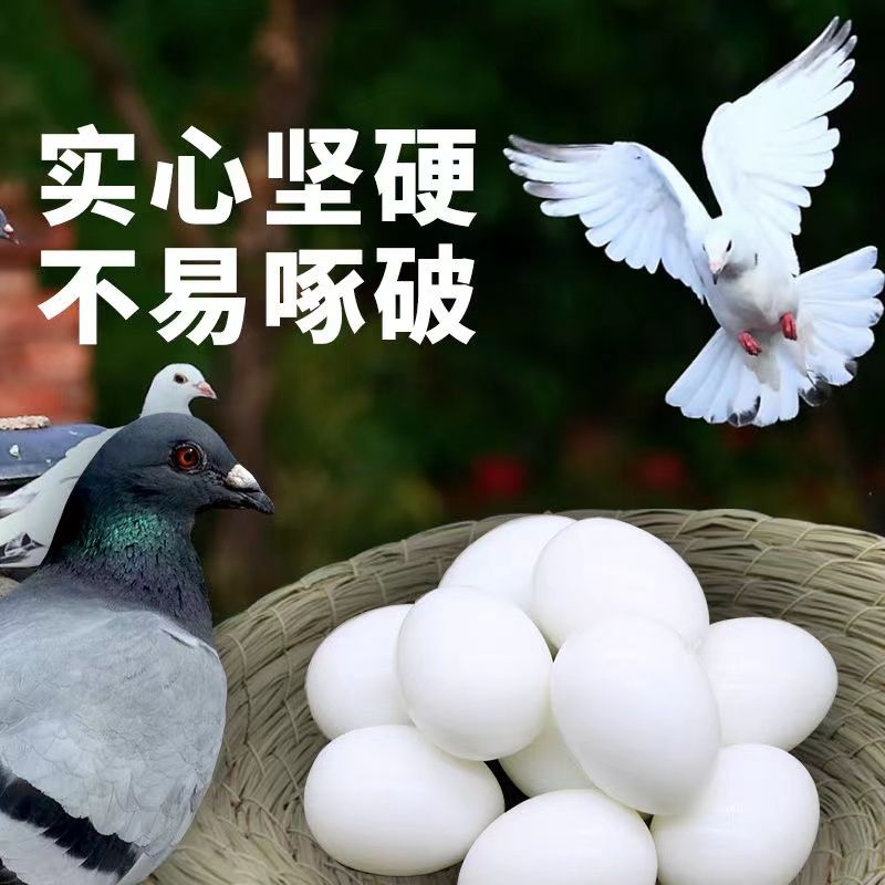 假鸽子蛋鸽子用品用具实心塑料鸽子蛋繁殖孵化用品鸽子蛋信鸽假蛋