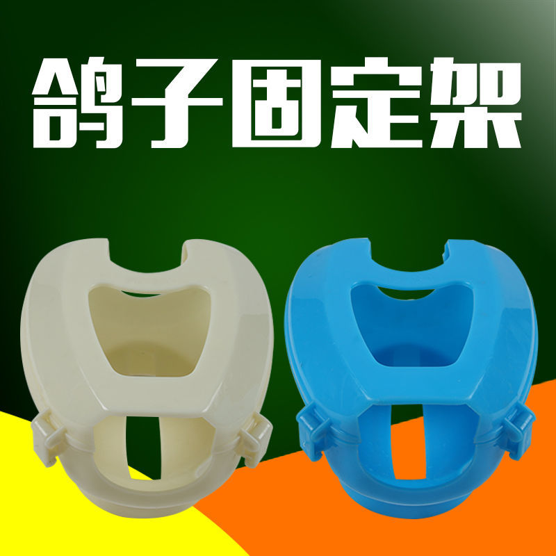 鸽子用品用具喂药固定架疫苗固定器 信鸽拍照看眼睛固定支架包邮