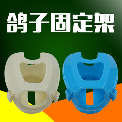 鸽子用品用具喂药固定架疫苗固定器 信鸽拍照看眼睛固定支架包邮