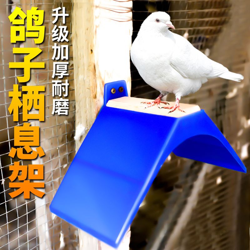 鸽子用具用品大全实木栖架塑料栖架站架草窝挂钩息架鸽子站架