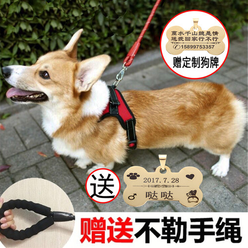 刻字基泰迪胸背带法斗狗狗牵引绳