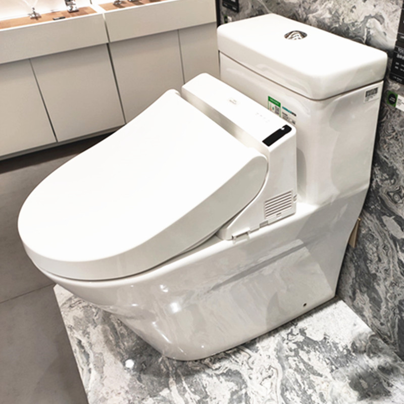 TOTO连体座便器CW166RB