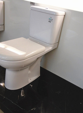 TOTO分体马桶CW781RPB/SW781SPB/CW982P/SW982PEB冲落墙排(04-B)