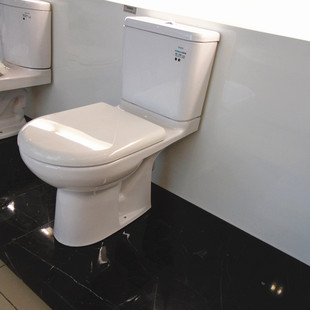 SW781SPB CW982P SW982PEB冲落墙排 TOTO分体马桶CW781RPB