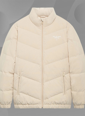 Lining/李宁正品韦德系列男子防泼水立体裁剪鹅绒羽绒服AYMS143