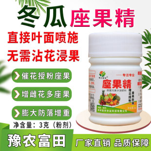 冬瓜座果精叶面喷施代替沾花浸果冬瓜授粉座果膨果增雌花增果重