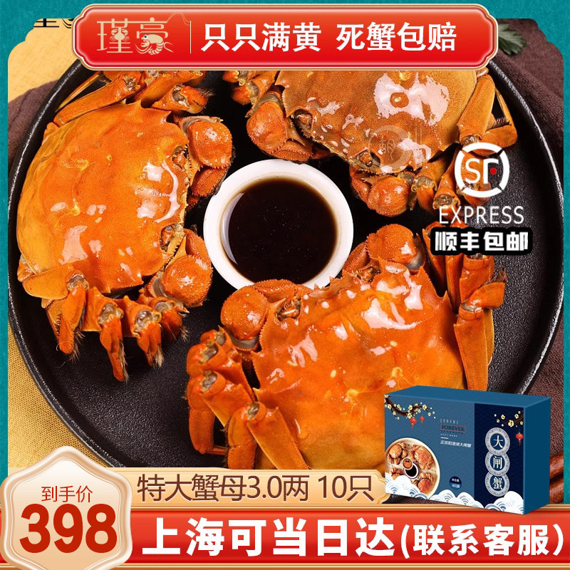 10只大闸蟹鲜活现货水产六月