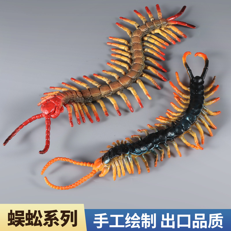 蜈蚣模型塑胶仿真爬行昆虫玩具