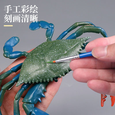 海洋动物玩具仿真海底生物世界模型鲨鱼鲸鱼儿童早教认知套装摆件