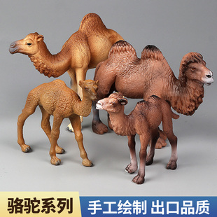 仿真骆驼模型实心野生动物玩具单峰双峰骆驼儿童科教宝宝认知摆件