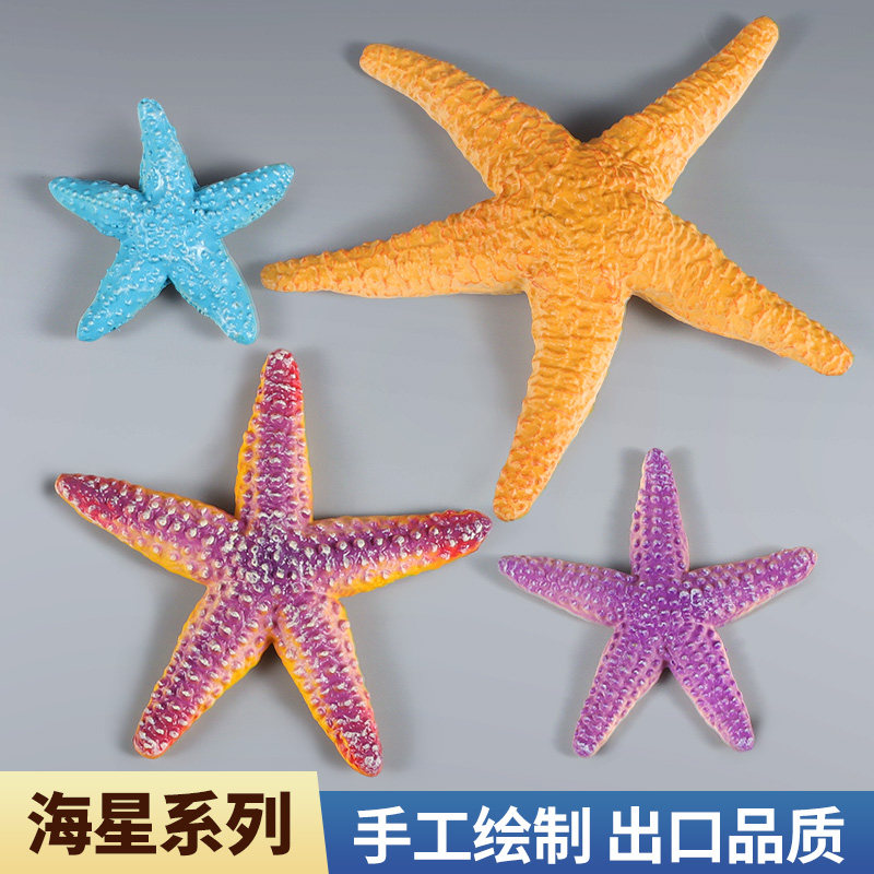 仿真海星模型实心海洋动物玩具海底生物紫色五角海星儿童认知摆件