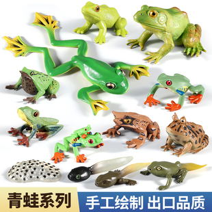 仿真小青蛙模型塑胶两栖爬行动物玩具角蛙树蛙牛蛙儿童认知摆件男