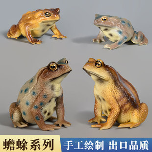 蟾蜍模型仿真实心爬行动物玩具儿童科教男女孩认知摆件青蛙癞蛤蟆