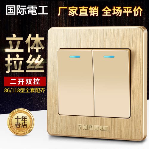 国际电工86型二位双联墙壁开关