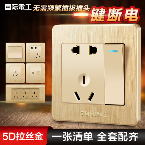 国际电工开关插座86一开单控五孔
