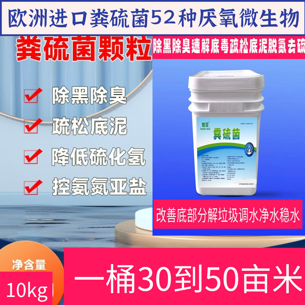 粪硫菌鱼虾蟹水产养殖除黑除臭，速解底毒，疏松底泥，脱氮去硫