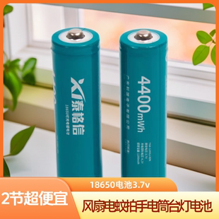 泰格信充电电池18650锂电池强光手电筒台灯风扇电蚊拍电池3.7v