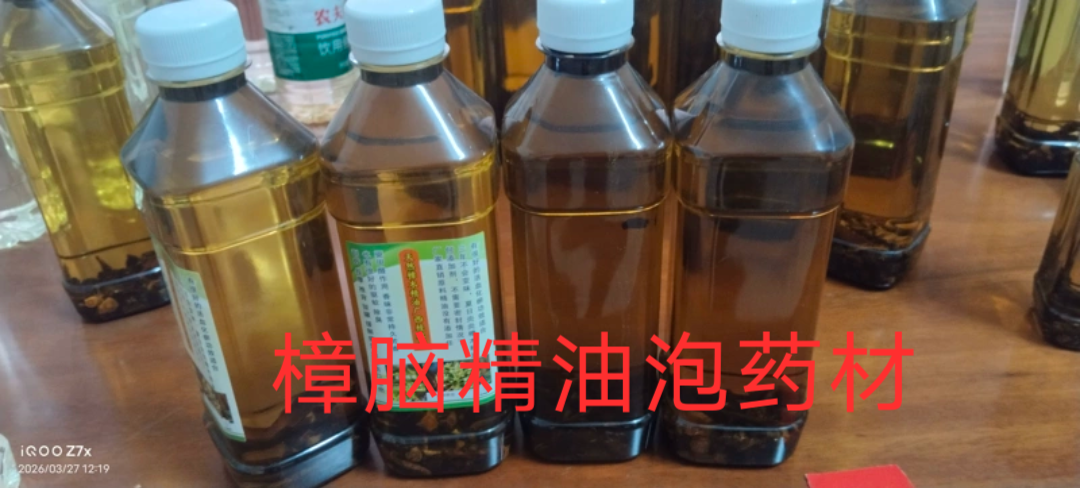 两广好物，樟脑精油泡吴茱萸八角防风肉桂，两广地区百年良方。
