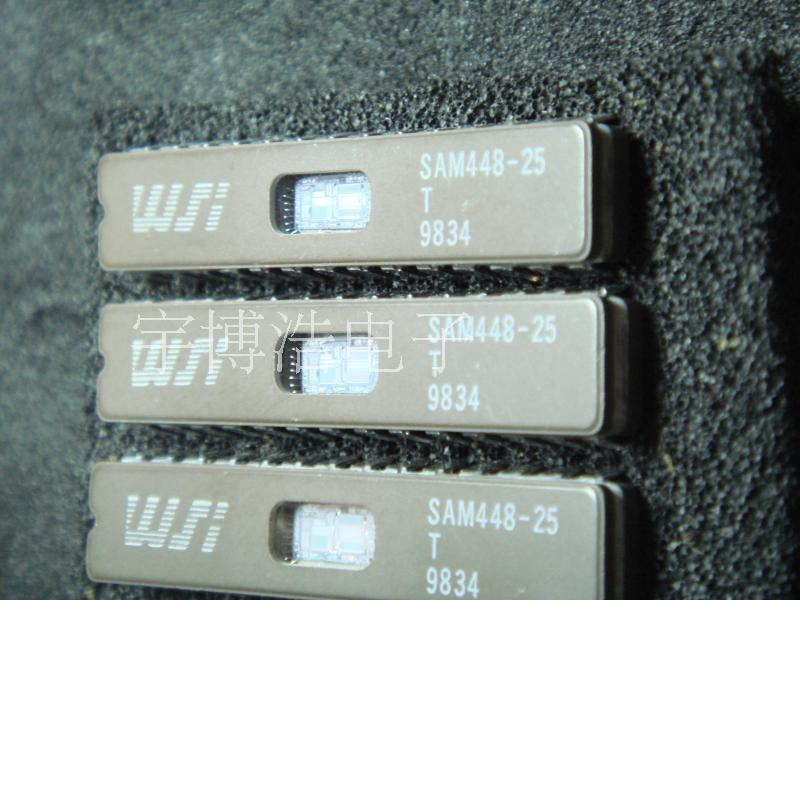SAM448-25T DIP 全新原装可以直拍