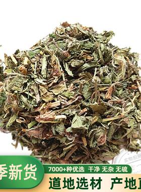点地梅喉咙草白花天星包邮中药材