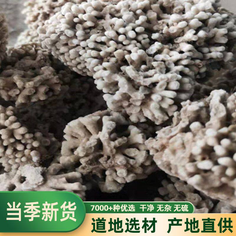 500克包邮海石花中药材