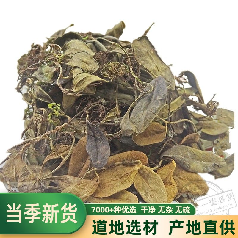 抱石莲 中药材 抱石连 抱树莲 瓜子菜 瓜米菜500克 飞连草