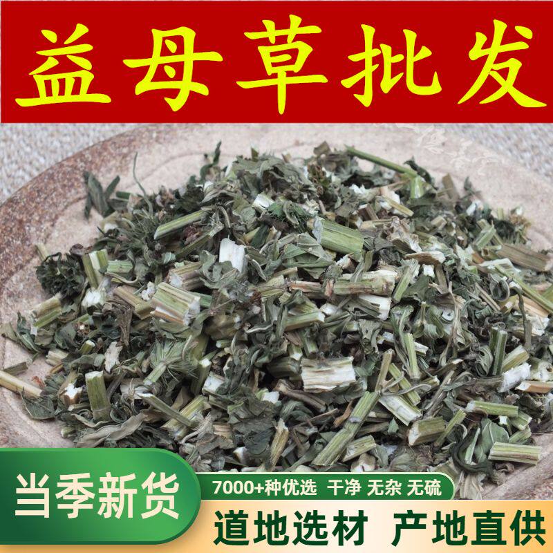 益母草中药材干的新鲜泡水喝