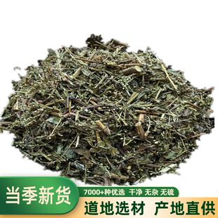 牡蒿中药材牡蒿500g包邮 新鲜干货 齐头蒿 猴掌草 油蒿 牧高