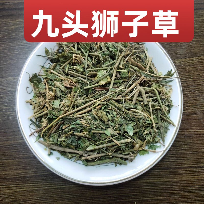 中药材九头狮子草 接骨草 铁焊椒绿豆青中草药九头狮子草500g包邮
