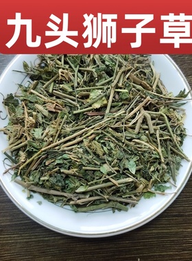 中药材九头狮子草 接骨草 铁焊椒绿豆青中草药九头狮子草500g包邮
