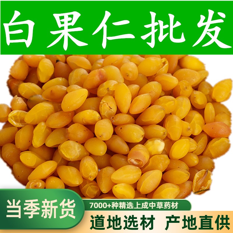 中药材一级干白果银杏果干熟的