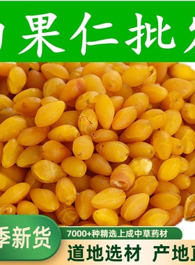 中药材 一级干白果 银杏果干 熟的白果仁新鲜 500克
