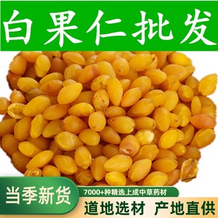 中药材 一级干白果 银杏果干 熟的白果仁新鲜 500克