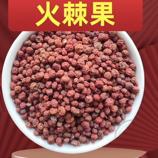 火甘肃新款上市棘果中药材火把果赤阳子救军粮可泡茶火棘子喂鸟