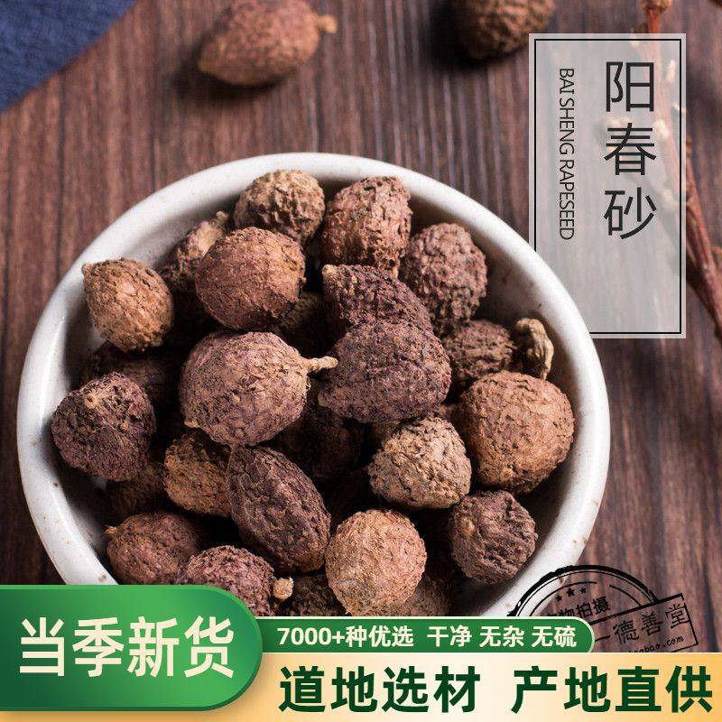 阳春砂仁500克包邮中药材
