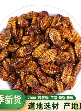 蚕蛹干纯 新鲜烘干蚕蛹500g中药材非比戈树蚕蛹 蚕俑打蚕蛹粉