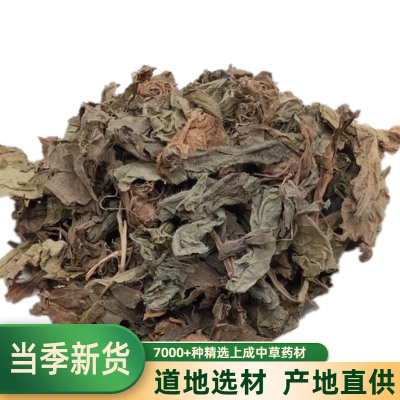 新晒地胆草全草 煲汤料坐地娘 草鞋底 地斩头 苦地胆 中草药 包邮