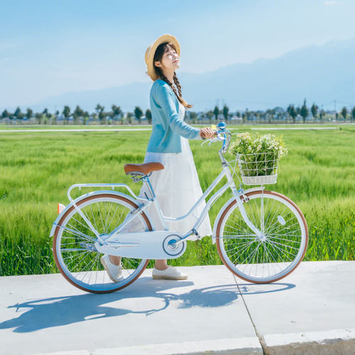 纽斯加女士女款田园风自行车