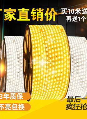 LED超亮硅胶柔性软暖白金黄蓝红粉色灯带220V室户外防水88灯珠