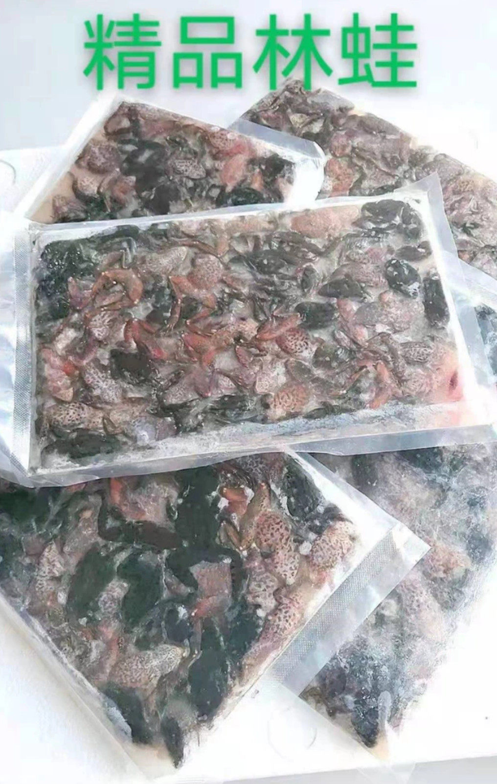 包邮新鲜东北冷冻林蛙蜈蚣河虾观赏鱼龙鱼虎鱼魟鱼龟饲料源鑫水族