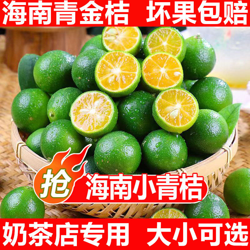 小青金桔新鲜包邮水果5斤青柠小青桔海南青金橘免邮非柠檬桔子