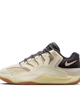 Nike KD 18 灰白色 男款 低帮 休闲运动篮球鞋II3841-100