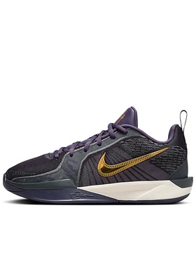 Nike Sabrina 2 紫色 GS大童 低帮 休闲运动篮球鞋FZ7302-500