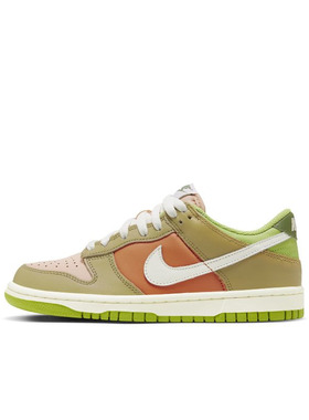 Nike Dunk Low棕绿色 彩色拼接GS低帮休闲运动复古板鞋DV9108-711