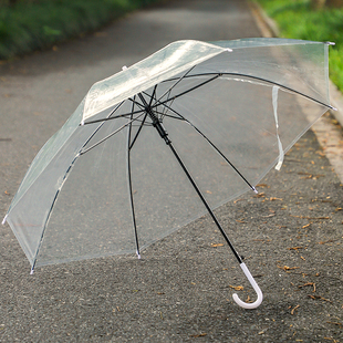 小清新伞自动长柄纯色双人用情侣透明伞 透明雨伞强抗风男女加厚