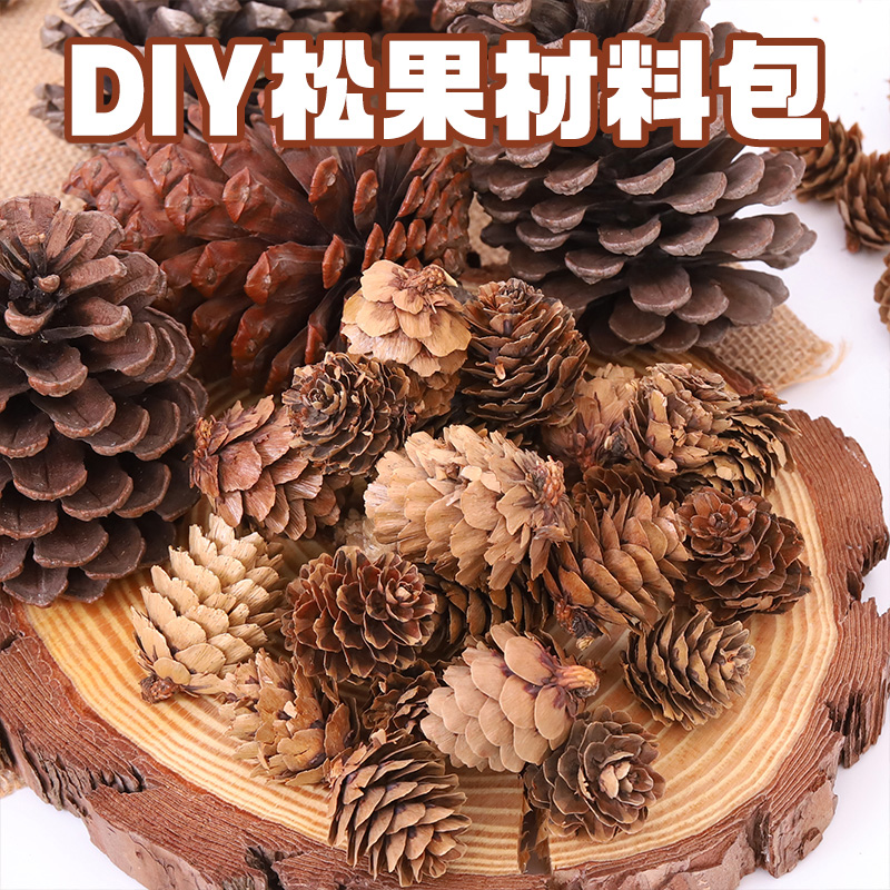 松果天然干枯树枝松塔手工创意diy幼儿园端午节环境布置装饰挂饰 家居饰品 干花/花瓣/干花包/干树枝 原图主图