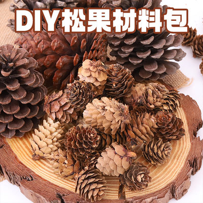 干枯diy走廊环境布置秋天松果