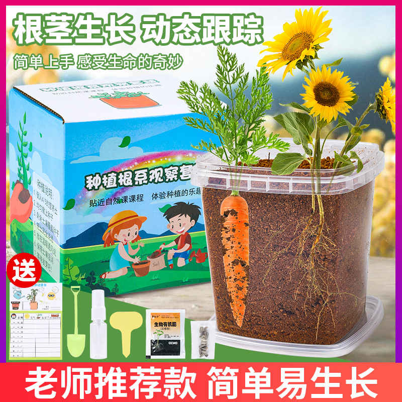 儿童种植小盆栽幼儿园向日葵植物花农迷你观察绿植种子盒diy盲盒 鲜花速递/花卉仿真/绿植园艺 苔藓微景观 原图主图